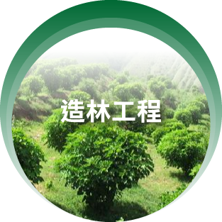 pic-05.png